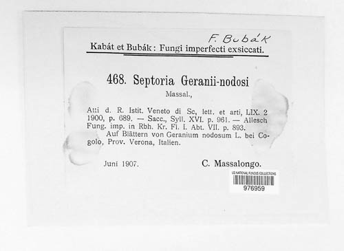 Septoria geranii-nodosi image